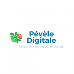 Marketing digital Pévèle Digitale Templeuve en Pévèle