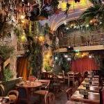 Restaurant insolite Jungle palace